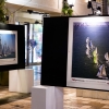 Bacardi Presents: Sailing Dreams, a light painting photography exhibit by Vicki Dasilva. Sponsored by EFG Bank, the exhibit at the Coco Walk features sailing photography by Cory Silken, Franco Pace, and Onne van der Wal.