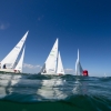 Star Class 8094 and 8179 sailing in Bacardi Miami Sailing Week, day one.