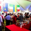 Bacardi Miami Sailing Week hospitality tent and mid-week party.
