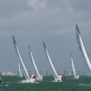 J70 Class sailing at Bacardi Miami Sailing Week, day four.