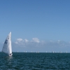 Star Class 8000 sailing at Bacardi Miami Sailing Week, day five.