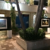 "Sailing Dreams" Exhibit, 2015