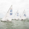 Star Class 8396, 8340, 8275 sailing at Bacardi Miami Sailing Week, day three.