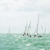 Star Class 8386 sailing at Bacardi Miami Sailing Week, day three.