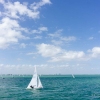 Star Class 8340 sailing at Bacardi Miami Sailing Week, day three.