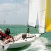 J70 Class 343 sailing at Bacardi Miami Sailing Week.