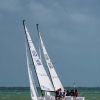 J70 Class 380 and 322 sailing at Bacardi Miami Sailing Week.
