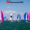 J70 Class sailing in Bacardi Miami Sailing Week.