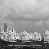 Miami Sailing Week Opti RWB fleet.