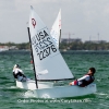 Miami Sailing Week Opti RWB fleet.