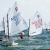 Miami Sailing Week Opti Green fleet.